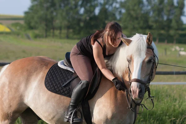 Seorang wanita muda menunggang kuda Haflinger — Stok Foto