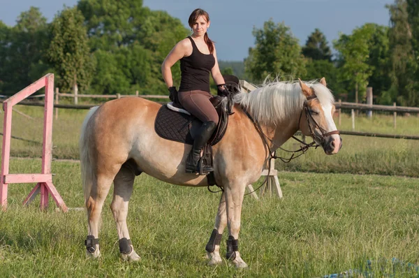 Een jonge vrouw die zich voordeed op een paard Haflinger — Stockfoto