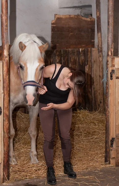 Jong meisje inspecteert een gewonde mond van het paard — Stockfoto