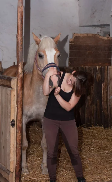 Jong meisje behandelt gewonde monding van paard desinfectie. — Stockfoto