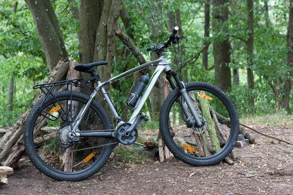 Mountainbike vastgebonden aan een boom in het bos in de Zomerochtend. — Stockfoto