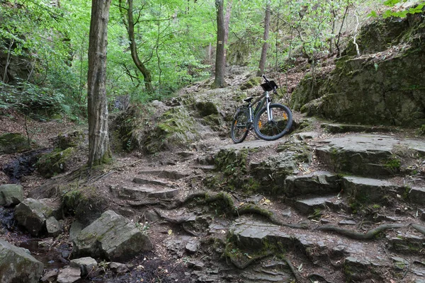 Mountain bike on tourist path in the woods.