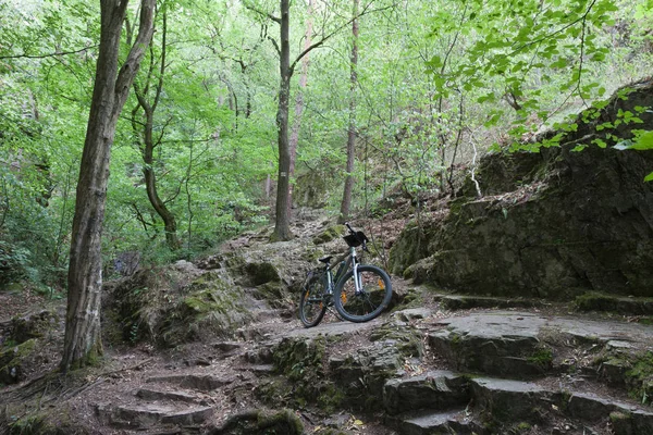 Mountain bike on tourist path in the woods. — Stock Photo, Image