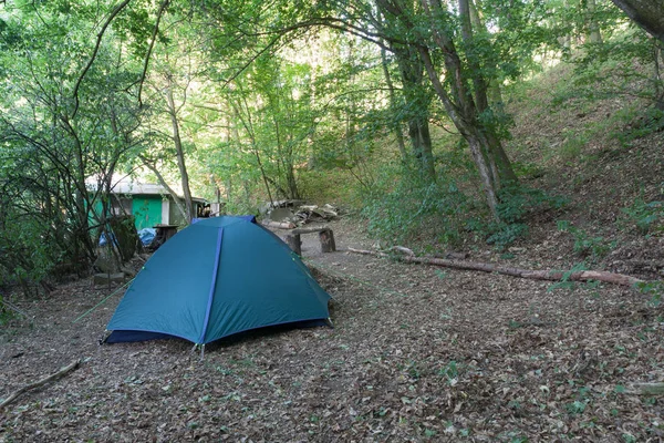 Turist kamp çadır kamp ormanda, Yazlık
