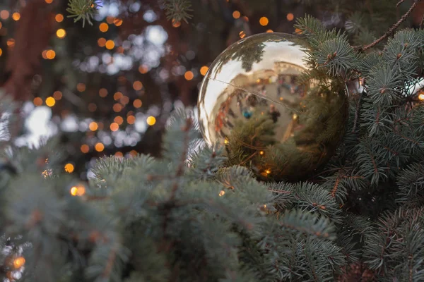 Ustalana na jarmarki świąteczne na rynku kapusta christm — Zdjęcie stockowe