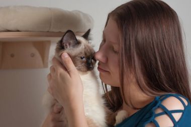 Genç kadın Birman kedisi sarılma