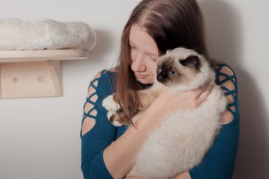 Genç kadın Birman kedisi sarılma