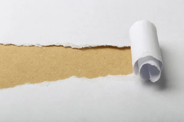 Paper Tear Background — Stock Photo, Image