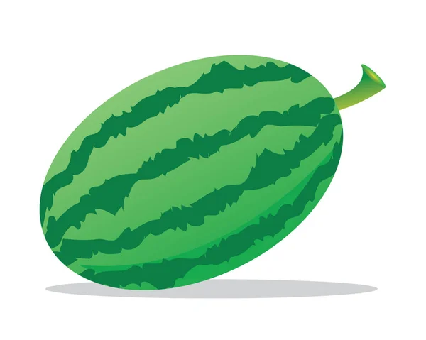 Sandía fruta comida — Vector de stock