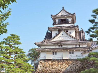 Kochi Castle Kochi ili, Japonya.