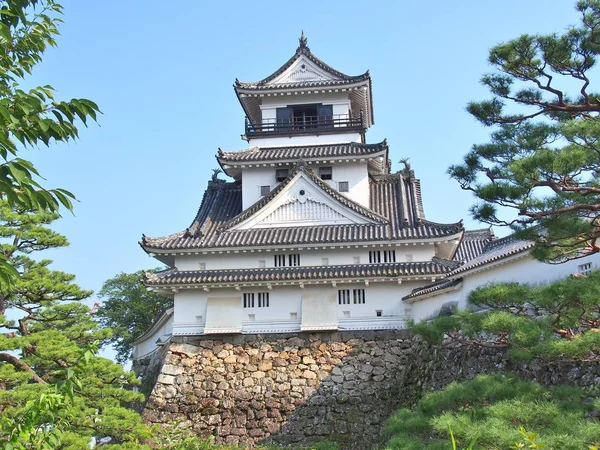 Kochi castle in kochi, kochi-präfektur, japan. lizenzfreie Stockfotos