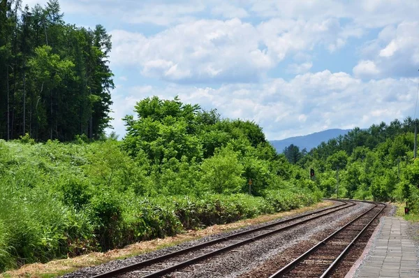 Железнодорожные пути через природу — стоковое фото