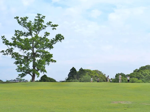 Árvore Grande Solitária Muitas Pessoas Campo Verde Com Céu Azul — Fotografia de Stock