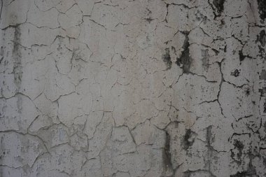 soyut eski boya duvar