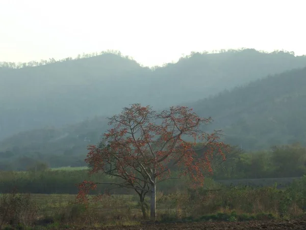 Vista sulla campagna in Thailandia — Foto Stock