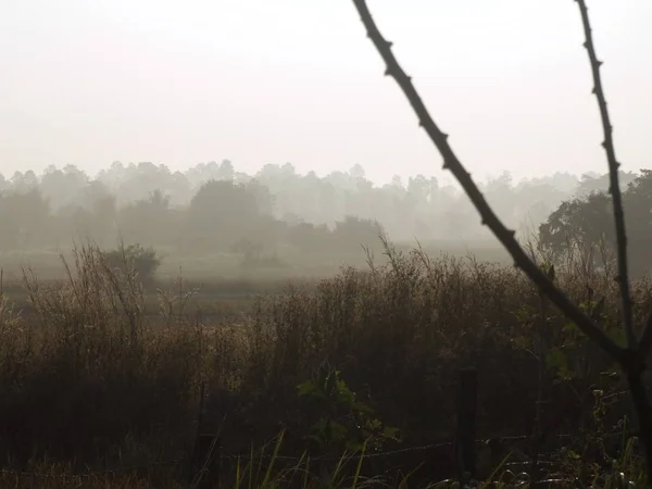 Vista sulla campagna in Thailandia — Foto Stock