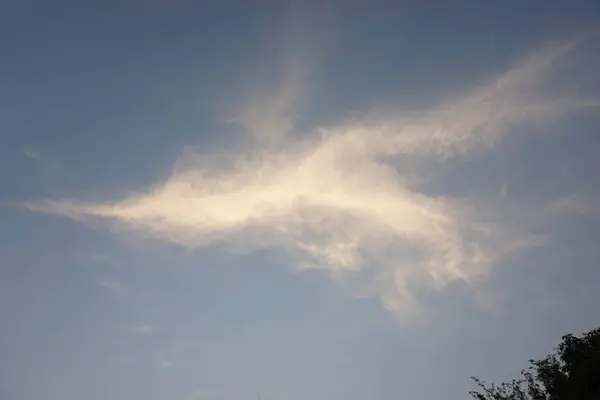 Облако в форме птицы — стоковое фото