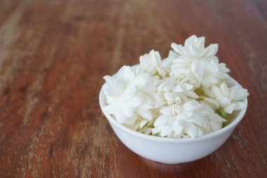 Beyaz Yasemin çiçeği