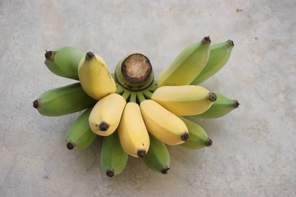 Fruta del plátano cultivada —  Fotos de Stock