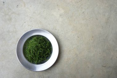 Yeşil akasya Pennata