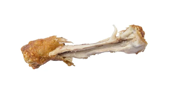 The chicken bone — Stock Photo, Image