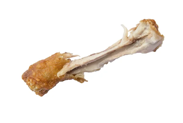 The chicken bone — Stock Photo, Image