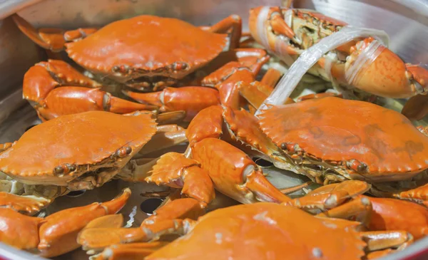 Crabe cuit à la vapeur sur pot — Photo