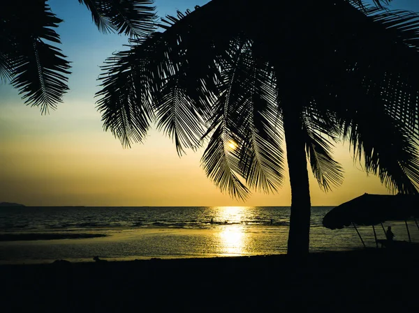 Silhouette Cocco Spiaggia — Foto Stock