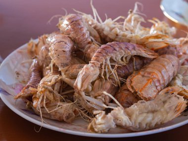  Peygamber devesi Karidesi
