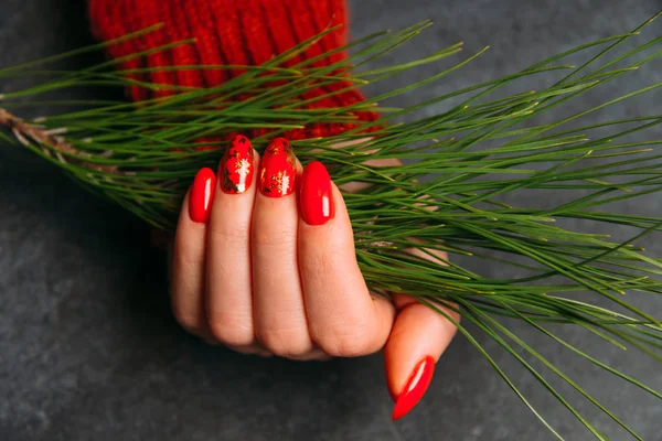 Main de femme avec manucure rouge tenant branche de sapin — Photo