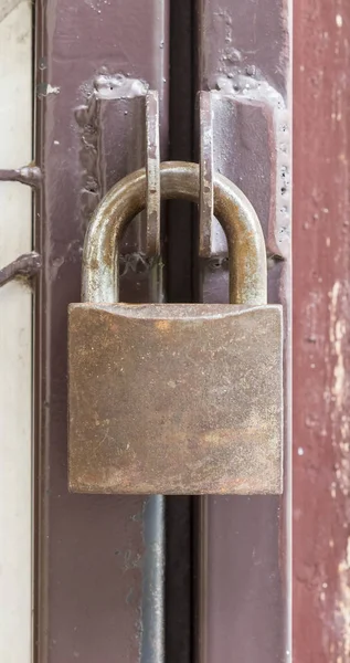 Brass padlock hook on door loop - locked — Stock Photo, Image