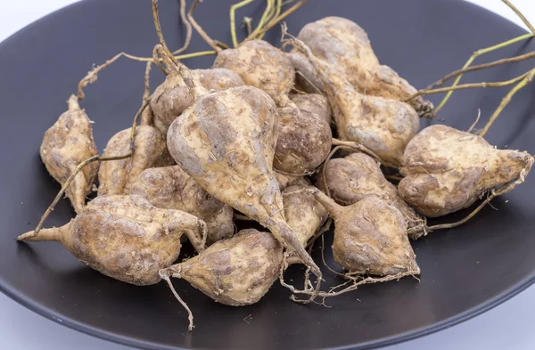 Yam fasulye veya siyah çanak üzerinde unpeeled Jicama