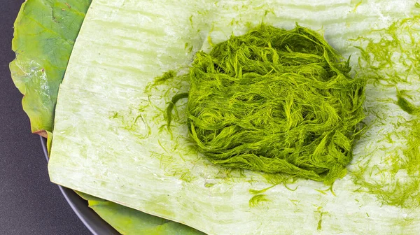 Freshwater Green Algae Scientific Name Spirogyra Banana Leaf — Stock Photo, Image