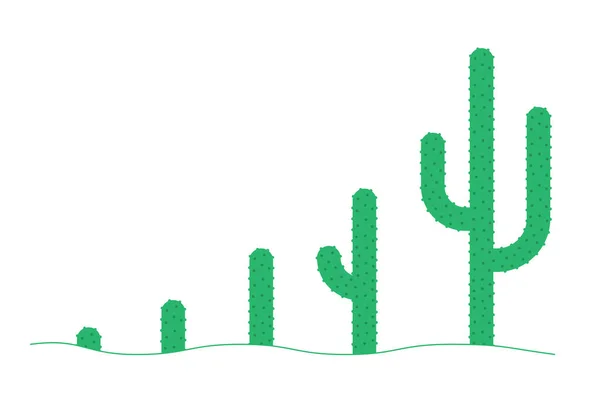 Kaktusphasen festgelegt. Lebenszyklus der Peyote-Pflanze. Wachstumsstadien. Reifezeit. Vektor-Infografik. — Stockvektor