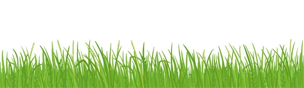 Gras Rasen Vektor Hintergrund. grüne Feldgrenzen. Gestaltungselement, Rahmen grünes Gras. — Stockvektor