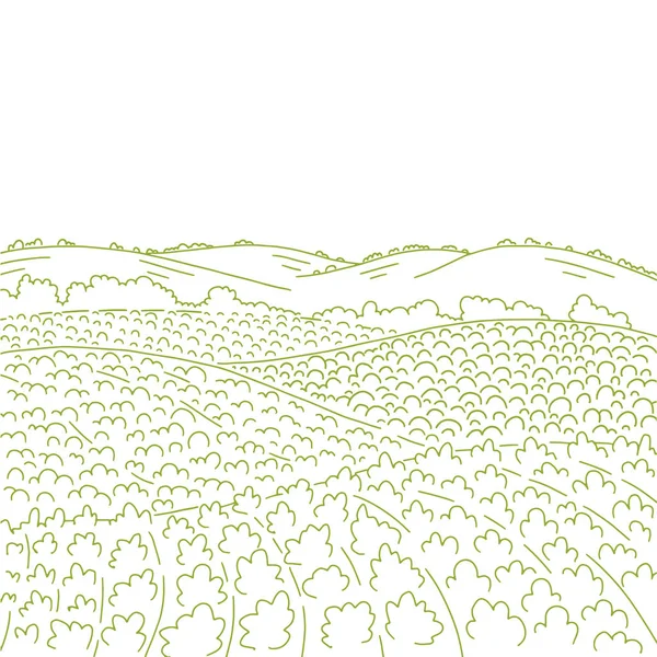 Сільські поля ландшафт. Сільські ландшафтні поля пагорби. Вирощування овочів садових рядів. Сільське господарство. Пейзажне чорнило Векторний малюнок ескізу лінії. Копіювати простір . — стоковий вектор