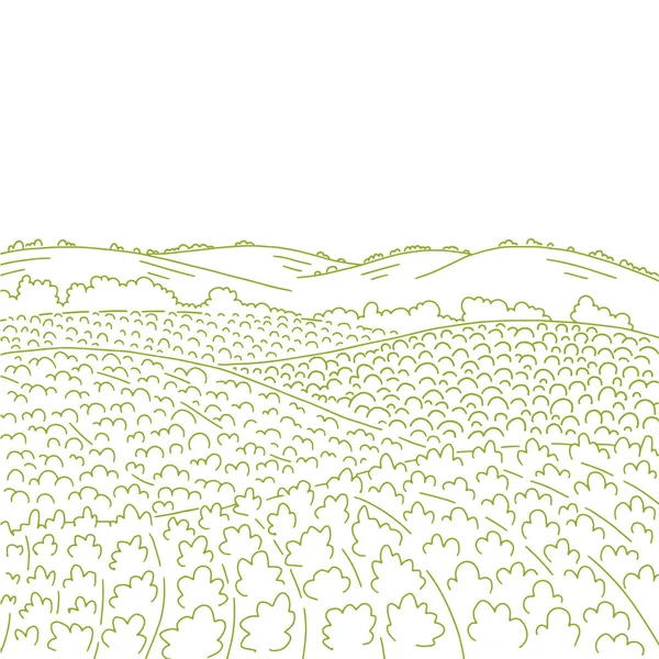 Champs ruraux paysage. Campagne paysages champs collines. Cultiver les rangs potagers. Agriculture. Dessin vectoriel à l'encre de paysage. Espace de copie . — Image vectorielle