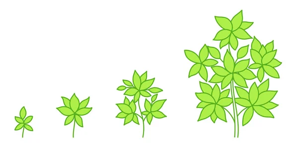 나무의 성장 단계. 개발 단계. 애니메이션 이 진행됩니다. 녹색이다. Vector eco infographic. — 스톡 벡터