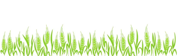 Зерновое поле. Уши пшеницы. Солома для сельского хозяйства. Зеленая ржаная трава. Контурный вектор линии. Принято. Горизонтальное знамя . — стоковый вектор