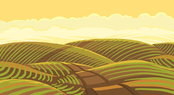 Paisaje. Cultivo agrícola brotes de plantas jóvenes. Tierra hirviendo. Tierra marrón. Camino de campo. Los cultivos comenzaron a brotar en el suelo de primavera. Color vectorial dibujado a mano . — Vector de stock