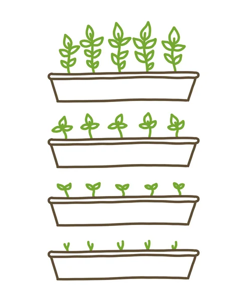 Plántulas en crecimiento. Planta dispara bandeja. Agricultura de plántulas. Evolución de la animación en fase de desarrollo. Período de maduración. Boceto dibujado a mano de la línea vectorial . — Archivo Imágenes Vectoriales