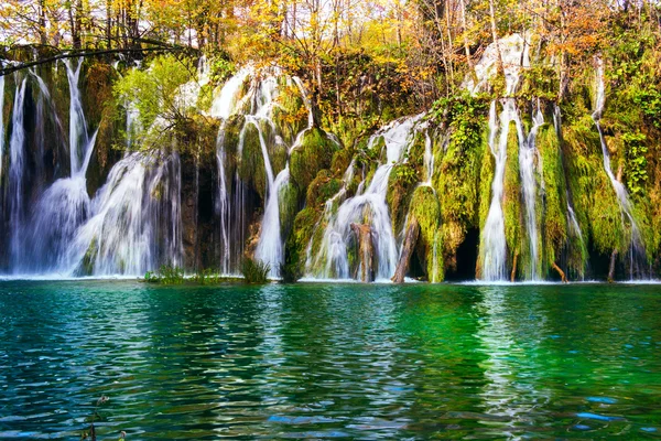 Renkli sonbahar ve şelale Plitvice Gölleri Milli par