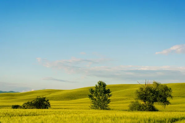güzel Toskana peyzaj