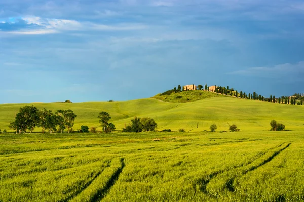 Vackra Toscana landskap — Stockfoto