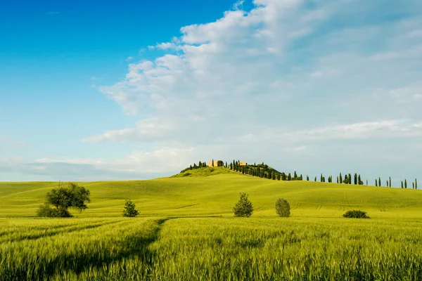 Kaunis Toscanan maisema — kuvapankkivalokuva