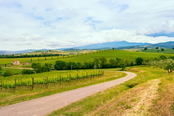 Chianti vingård landskap i Toscana — Stockfoto