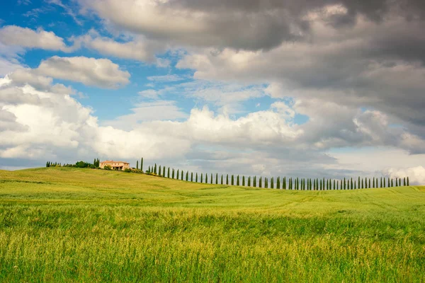 Hermoso paisaje Toscana — Foto de Stock