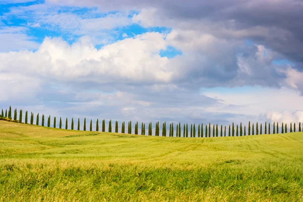 Vackra Toscana landskap — Stockfoto