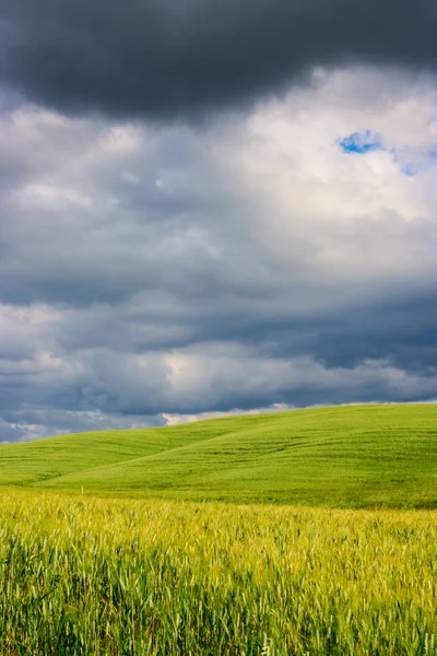 güzel Toskana peyzaj