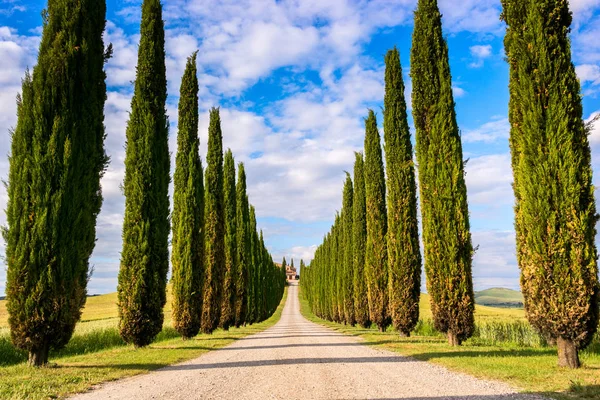 Vackra Toscana landskap — Stockfoto